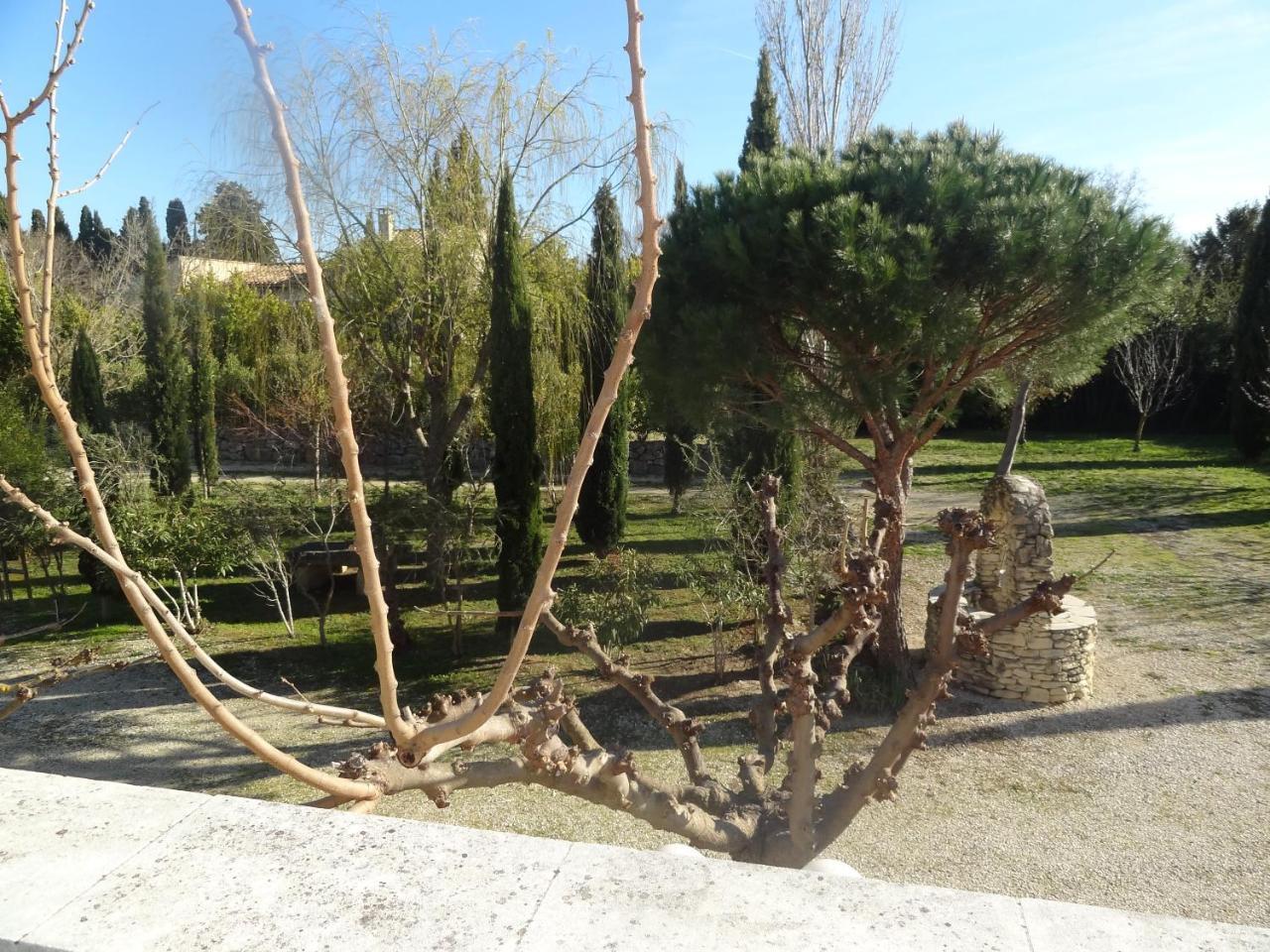 Апартаменты Locations Des Alpilles Сен-Реми-де-Прованс Экстерьер фото